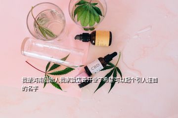 我是河南固始人我家飯店要開業(yè)了希望可以起個(gè)引人注目的名字