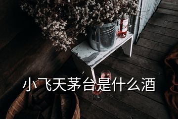 小飛天茅臺(tái)是什么酒