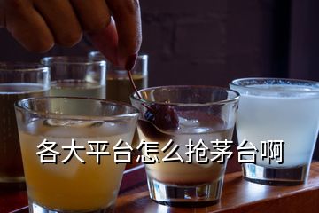 各大平臺(tái)怎么搶茅臺(tái)啊