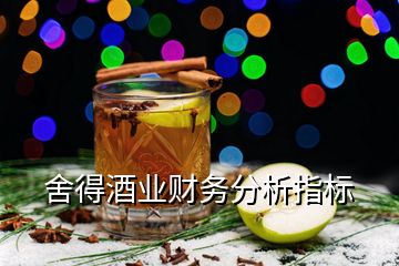 舍得酒業(yè)財務分析指標