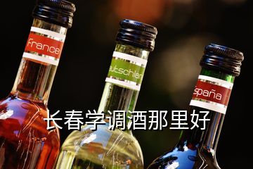 長(zhǎng)春學(xué)調(diào)酒那里好