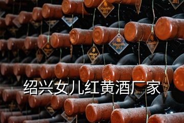 紹興女兒紅黃酒廠家