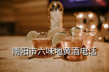 南陽市六味地黃酒電話