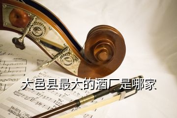 大邑縣最大的酒廠是哪家