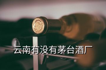 云南有沒有茅臺酒廠