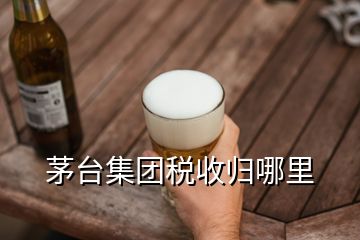 茅臺集團(tuán)稅收歸哪里