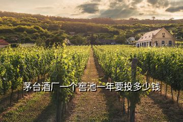 茅臺(tái)酒廠一個(gè)窖池一年要投多少錢