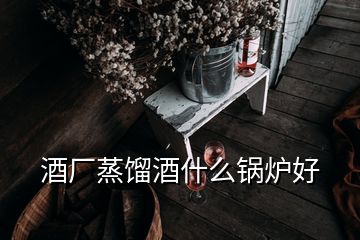 酒廠蒸餾酒什么鍋爐好