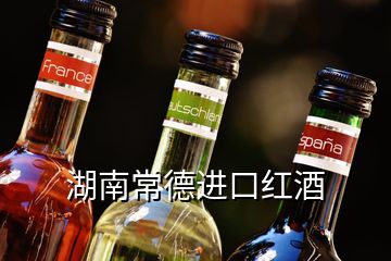 湖南常德進(jìn)口紅酒