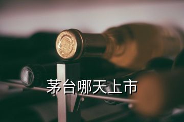 茅臺(tái)哪天上市