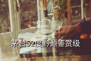 茅臺(tái)52度黔源鑒賞級(jí)