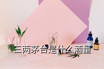 三兩茅臺(tái)是什么酒量