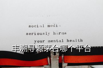 豐溯尋源茅臺哪個平臺