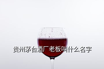 貴州茅臺(tái)酒廠老板叫什么名字