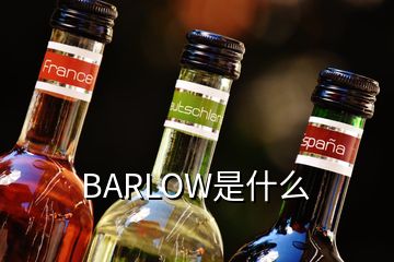 BARLOW是什么