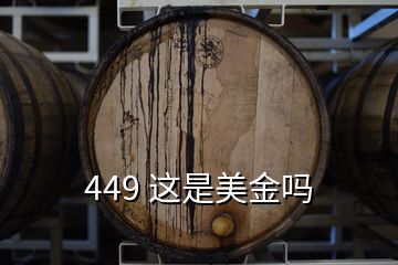  449 這是美金嗎