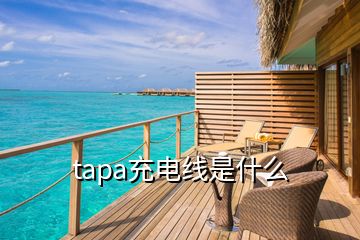 tapa充電線是什么