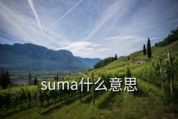 suma什么意思