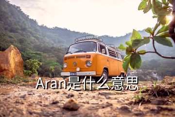 Aran是什么意思