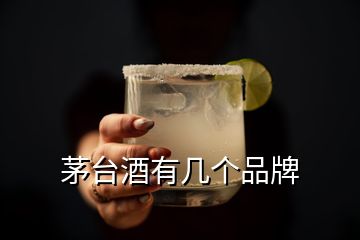 茅臺酒有幾個品牌