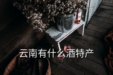 云南有什么酒特產