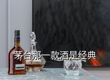 茅臺那一款酒是經(jīng)典