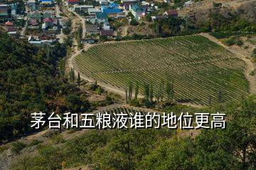 茅臺(tái)和五糧液誰(shuí)的地位更高