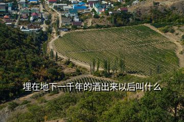 埋在地下一千年的酒出來(lái)以后叫什么