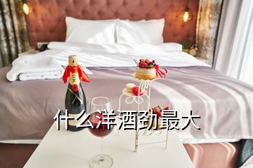 什么洋酒勁最大