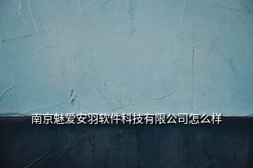 南京魅愛安羽軟件科技有限公司怎么樣