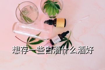 想存一些白酒什么酒好