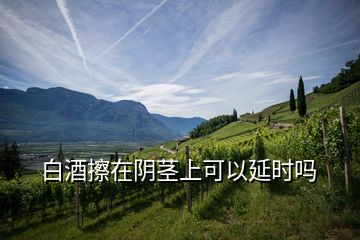 白酒擦在陰莖上可以延時(shí)嗎