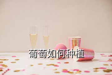 葡萄如何種植