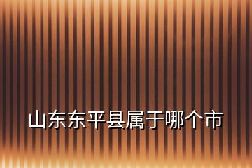 山東東平縣屬于哪個(gè)市