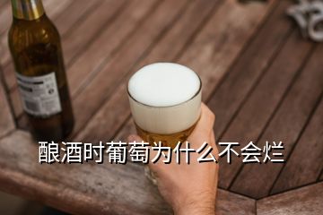 釀酒時(shí)葡萄為什么不會(huì)爛