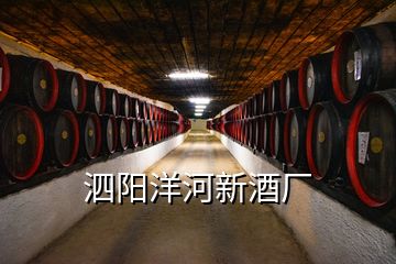 泗陽洋河新酒廠