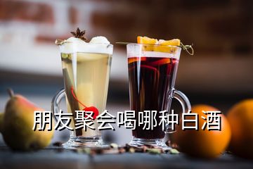 朋友聚會(huì)喝哪種白酒