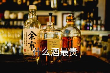 什么酒最貴