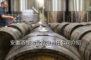 安徽酒怪酒業(yè)有限責(zé)任公司介紹