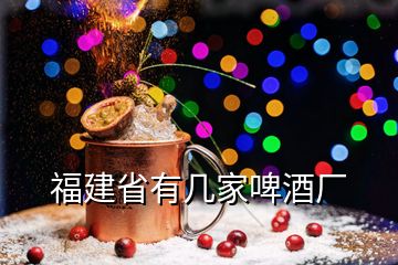 福建省有幾家啤酒廠