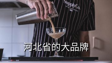 河北省的大品牌