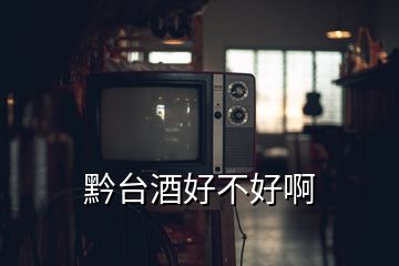 黔臺(tái)酒好不好啊