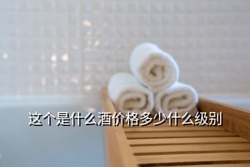 這個是什么酒價(jià)格多少什么級別