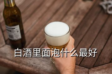 白酒里面泡什么最好