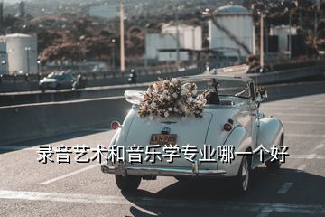 錄音藝術和音樂學專業(yè)哪一個好