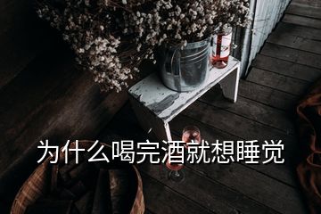 為什么喝完酒就想睡覺(jué)