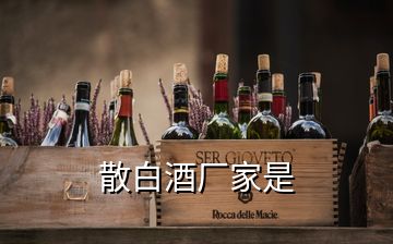 散白酒廠家是