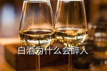 白酒為什么會醉人