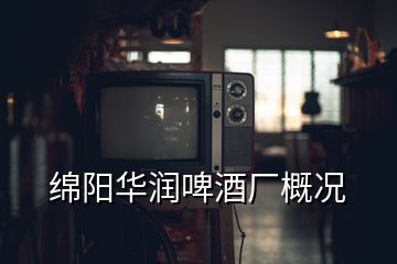 綿陽華潤啤酒廠概況