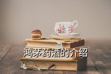 鴻茅藥酒的介紹